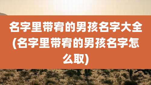 名字里带宥的男孩名字大全(名字里带宥的男孩名字怎么取)