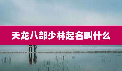 天龙八部少林起名叫什么