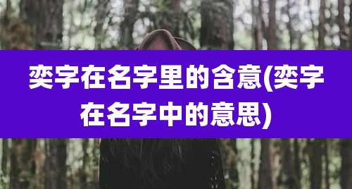 奕字在名字里的含意(奕字在名字中的意思)