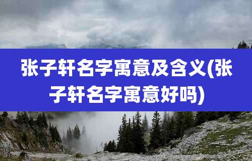 张子轩名字寓意及含义(张子轩名字寓意好吗)