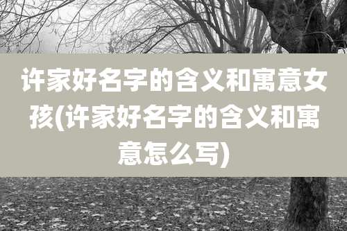 许家好名字的含义和寓意女孩(许家好名字的含义和寓意怎么写)