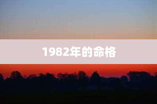 1982年的命格