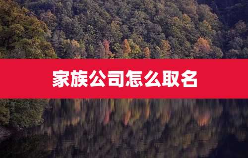 家族公司怎么取名