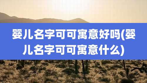 婴儿名字可可寓意好吗(婴儿名字可可寓意什么)