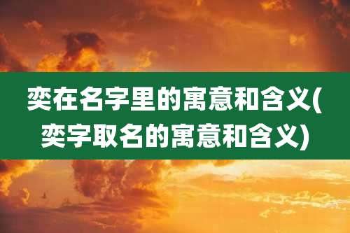 奕在名字里的寓意和含义(奕字取名的寓意和含义)
