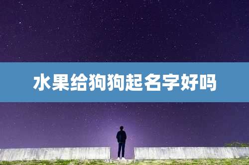 水果给狗狗起名字好吗