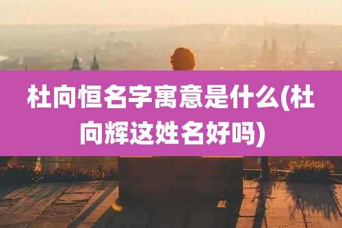 杜向恒名字寓意是什么(杜向辉这姓名好吗)