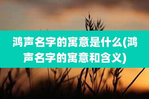 鸿声名字的寓意是什么(鸿声名字的寓意和含义)