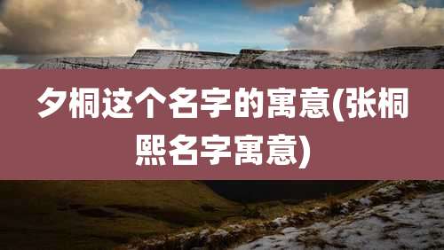 夕桐这个名字的寓意(张桐熙名字寓意)