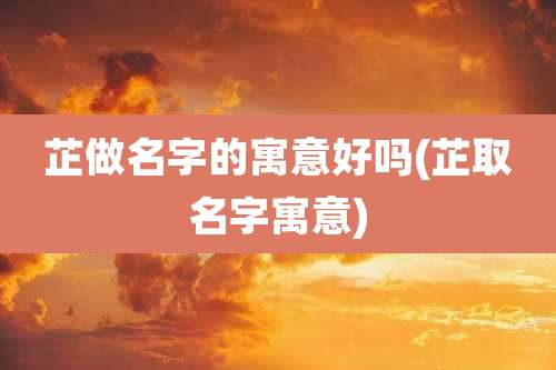 芷做名字的寓意好吗(芷取名字寓意)