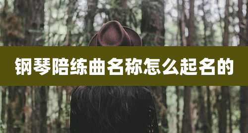 钢琴陪练曲名称怎么起名的