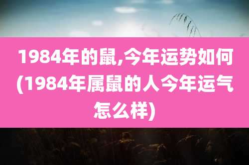 1984年的鼠,今年运势如何(1984年属鼠的人今年运气怎么样)