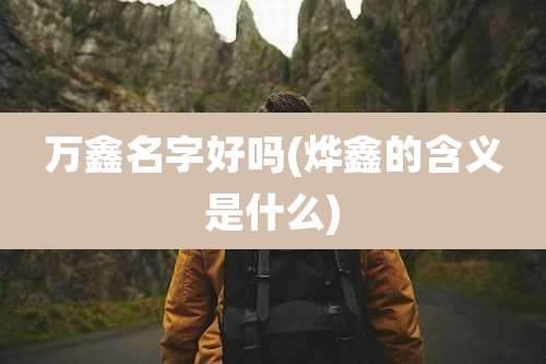 万鑫名字好吗(烨鑫的含义是什么)