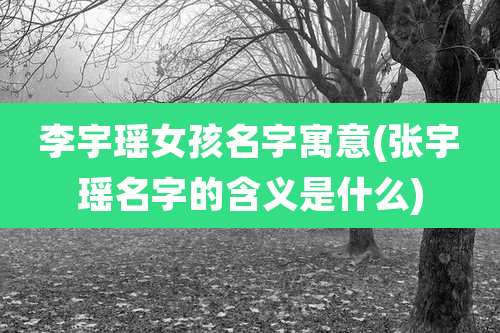 李宇瑶女孩名字寓意(张宇瑶名字的含义是什么)