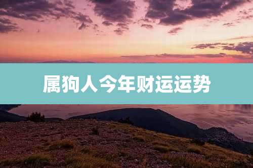 属狗人今年财运运势