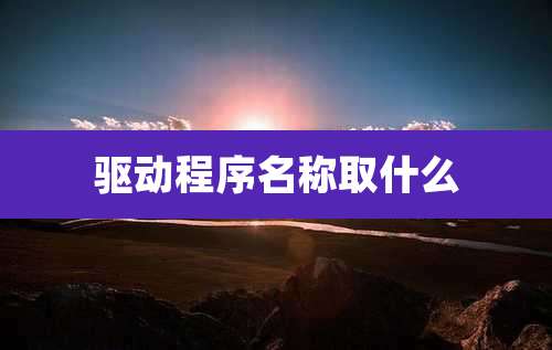 驱动程序名称取什么