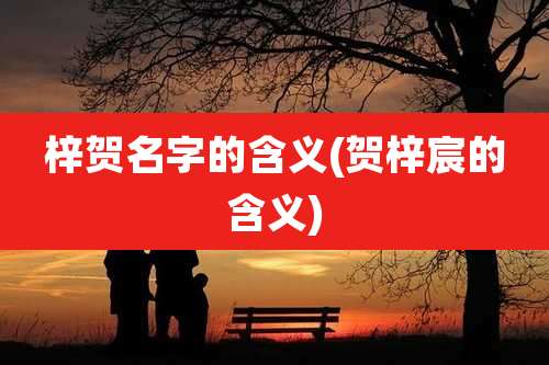 梓贺名字的含义(贺梓宸的含义)