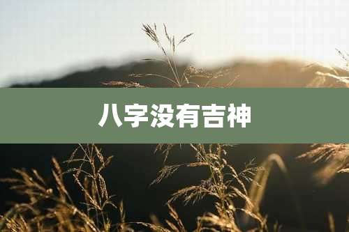 八字没有吉神