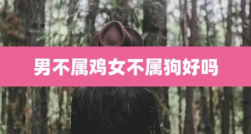 男不属鸡女不属狗好吗