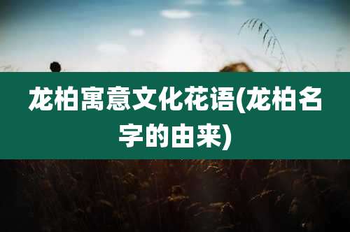 龙柏寓意文化花语(龙柏名字的由来)