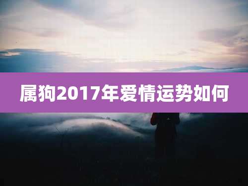 属狗2017年爱情运势如何