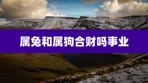 属兔和属狗合财吗事业