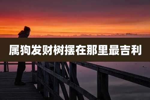 属狗发财树摆在那里最吉利