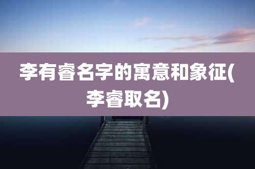 李有睿名字的寓意和象征(李睿取名)