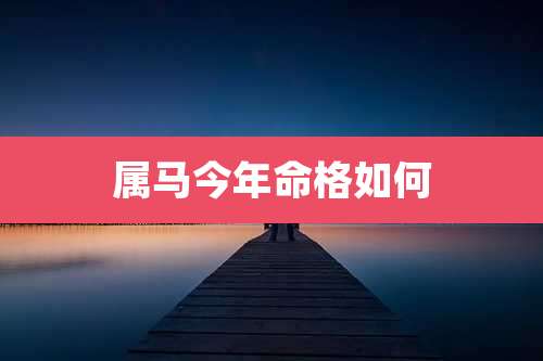 属马今年命格如何