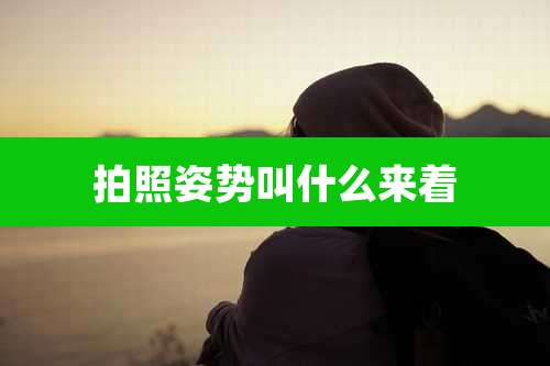 拍照姿势叫什么来着