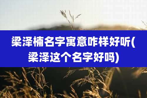 梁泽楠名字寓意咋样好听(梁泽这个名字好吗)