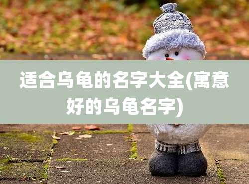 适合乌龟的名字大全(寓意好的乌龟名字)