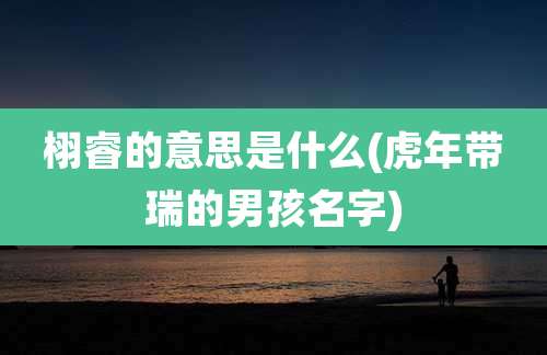 栩睿的意思是什么(虎年带瑞的男孩名字)