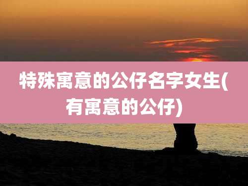 特殊寓意的公仔名字女生(有寓意的公仔)