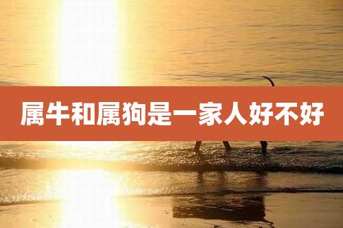 属牛和属狗是一家人好不好
