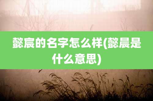 懿宸的名字怎么样(懿晨是什么意思)