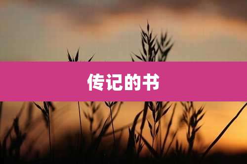 传记的书