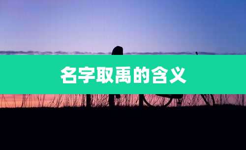 名字取禹的含义