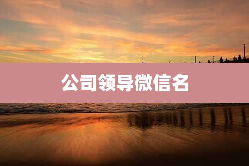 公司领导微信名