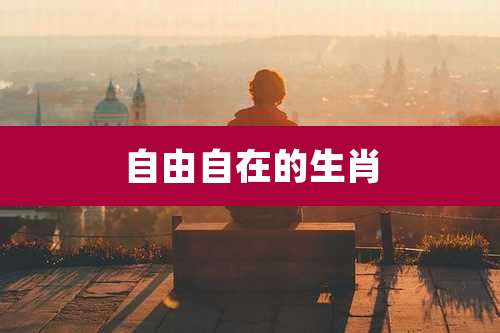 自由自在的生肖