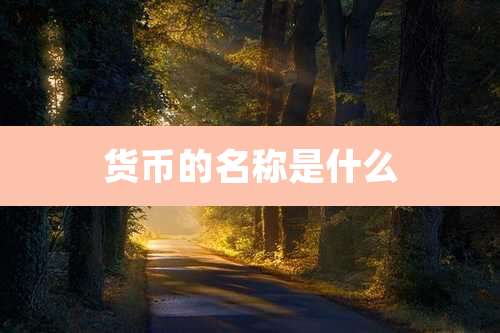 货币的名称是什么