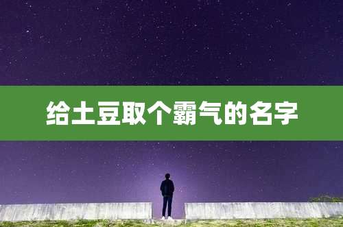 给土豆取个霸气的名字
