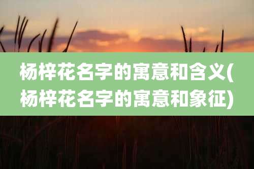 杨梓花名字的寓意和含义(杨梓花名字的寓意和象征)