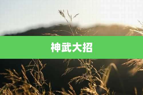 神武大招