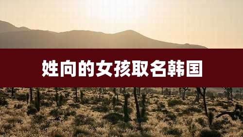 姓向的女孩取名韩国