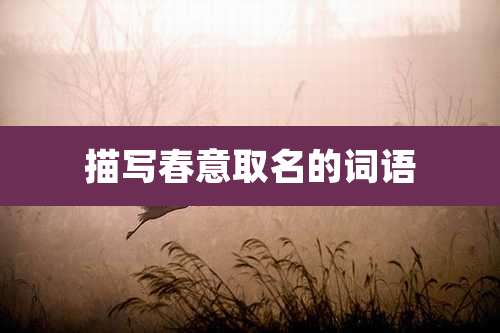 描写春意取名的词语