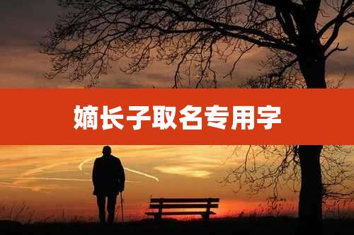 嫡长子取名专用字