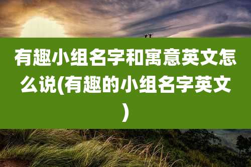 有趣小组名字和寓意英文怎么说(有趣的小组名字英文)