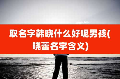 取名字韩晓什么好呢男孩(晓蕾名字含义)