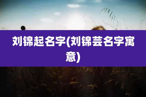 刘锦起名字(刘锦芸名字寓意)
